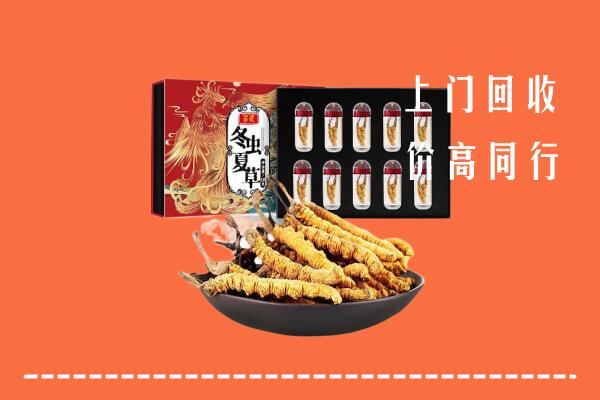 盐边县回收虫草